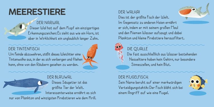 Produktbild: Die Welt. Meine Erste Puzzle Box