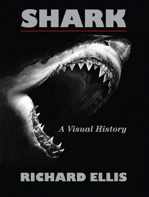 Produktbild: Shark