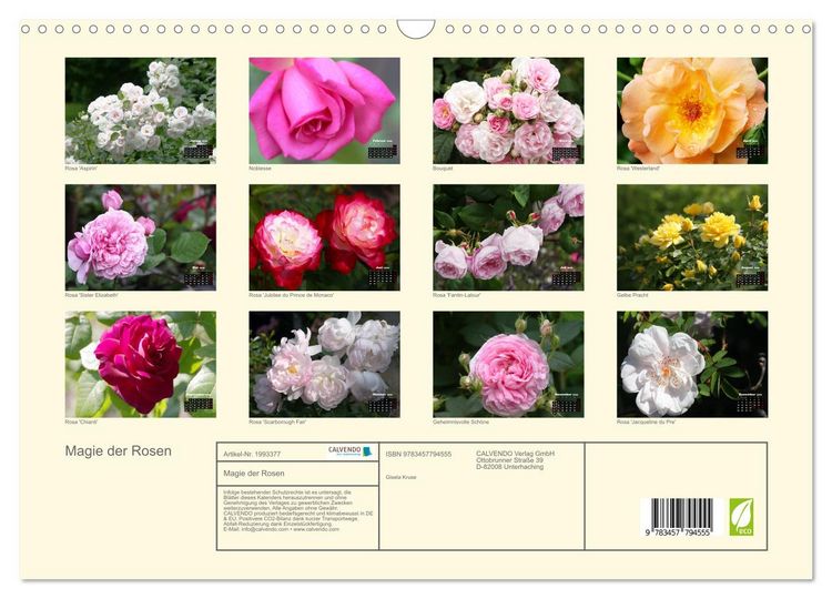 Produktbild: Magie der Rosen (Wandkalender 2026 DIN A3 quer), CALVENDO Monatskalender