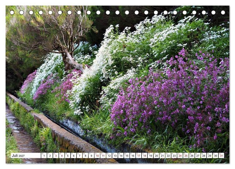 Produktbild: Bl&uuml;tenzauber auf Madeira. Wildblumen und Ziergew&auml;chse (Tischkalender 2027 DIN A5 quer), CALVENDO Monatskalender
