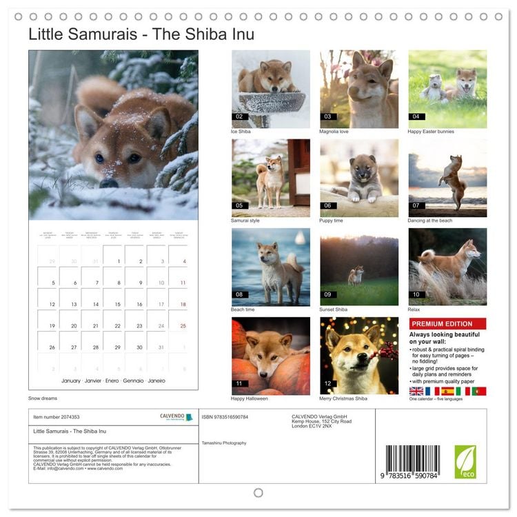 Produktbild: Little Samurais - The Shiba Inu (Wall Calendar 2026 12 &times; 12 Inch) CALVENDO 12 Month Wall Calendar