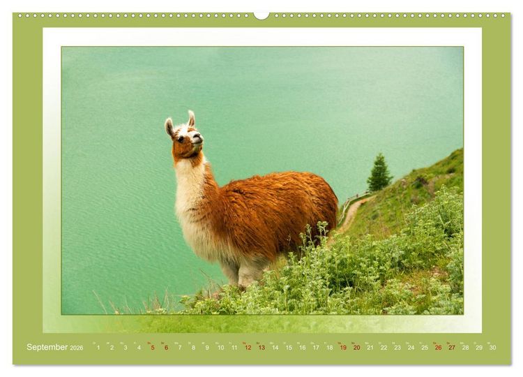 Produktbild: Das vergessene Tal. Schnalstal - Val Senales (Wandkalender 2026 DIN A2 quer), CALVENDO Monatskalender