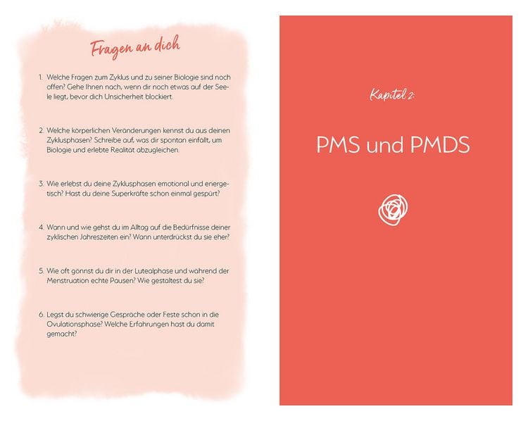 Produktbild: Mein PMS und ich
