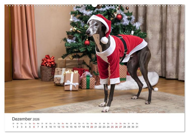 Produktbild: Funny Greyhounds - Windhunde mal anders (Wandkalender 2026 DIN A2 quer), CALVENDO Monatskalender