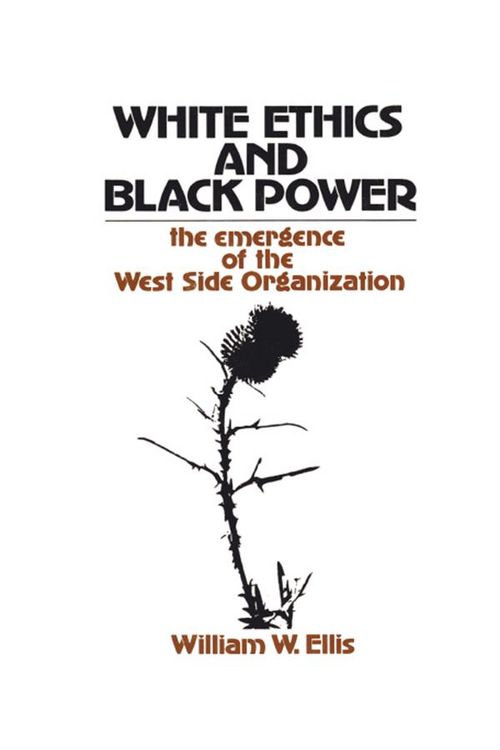 Produktbild: White Ethics and Black Power