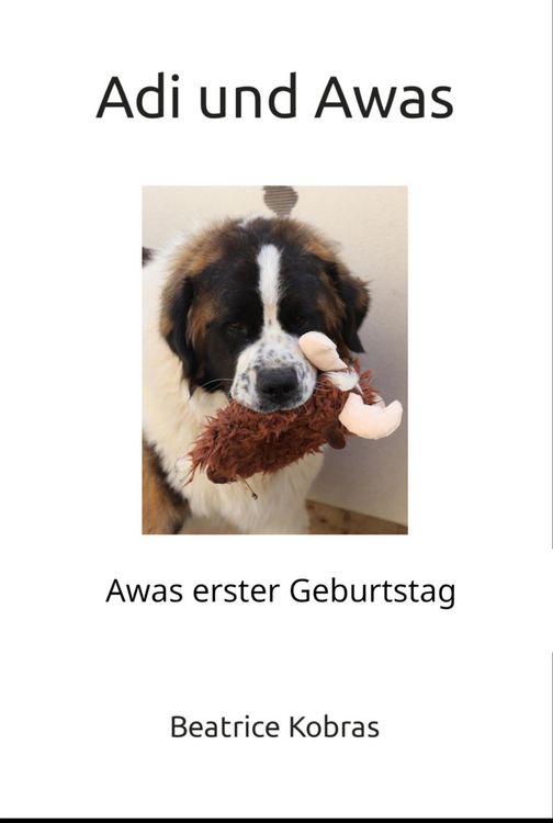 Produktbild: Adi und Awas