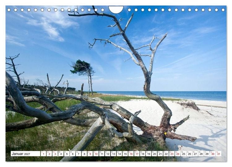 Produktbild: Fischland-Dar&szlig;-Zingst - Momente einer Reise (Wandkalender 2027 DIN A4 quer), CALVENDO Monatskalender