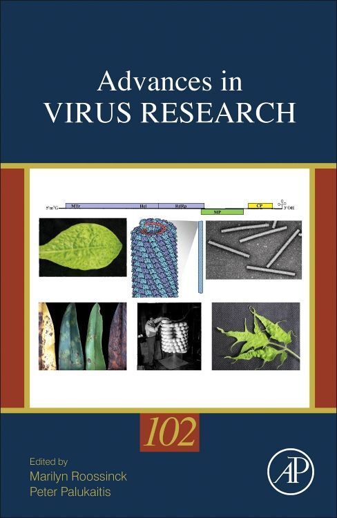 Produktbild: ADVANCES IN VIRUS RESEARCH V10
