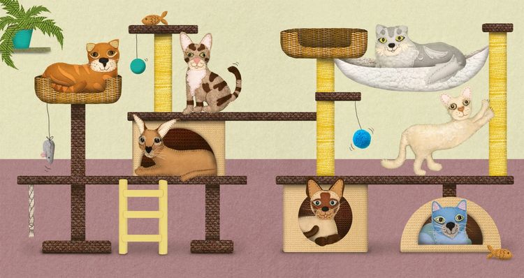 Produktbild: Stitch 50 Cats