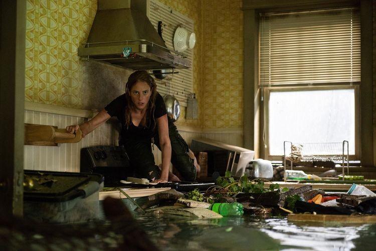 Produktbild: Crawl (4K Ultra HD) (+ Blu-ray)