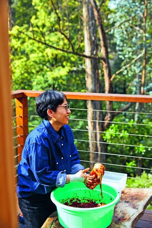 Produktbild: Healthy Korea