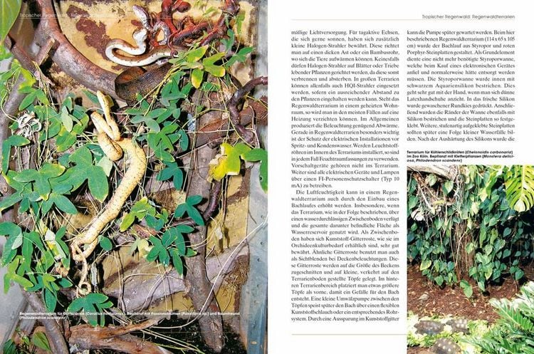 Produktbild: Pflanzen im Terrarium