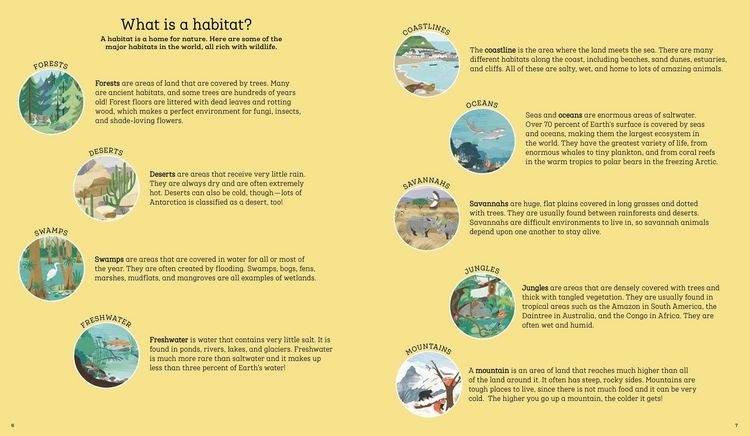 Produktbild: How to Help a Hare and Protect a Polar Bear