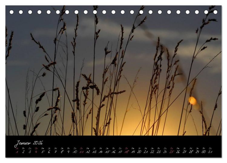 Produktbild: Zeit der Natur - Ein Augenblick zur Ewigkeit (Tischkalender 2026 DIN A5 quer), CALVENDO Monatskalender