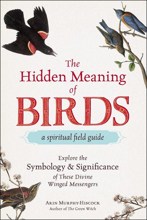 Produktbild: The Hidden Meaning of Birds--A Spiritual Field Guide