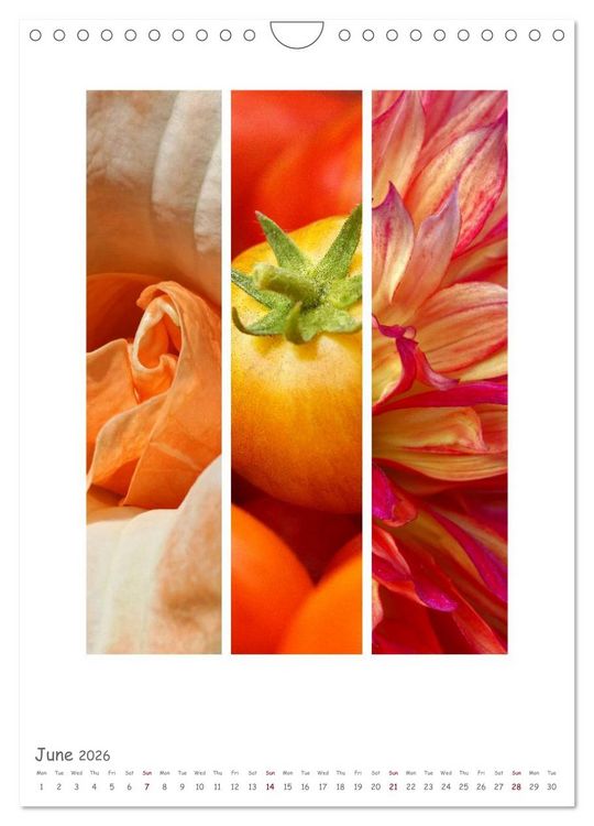 Produktbild: Colours of Nature - Triptycha (Wall Calendar 2026 DIN A4 portrait), CALVENDO 12 Month Wall Calendar
