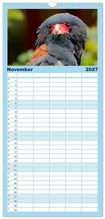 Produktbild: Familienplaner 2027 - Greifv&ouml;gel, Eulen und K&auml;uze mit 5 Spalten (Wandkalender, 21 x 45 cm) CALVENDO