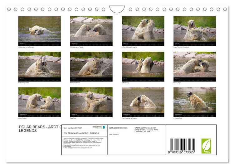 Produktbild: POLAR BEARS - ARCTIC LEGENDS (Wall Calendar 2026 DIN A4 landscape), CALVENDO 12 Month Wall Calendar
