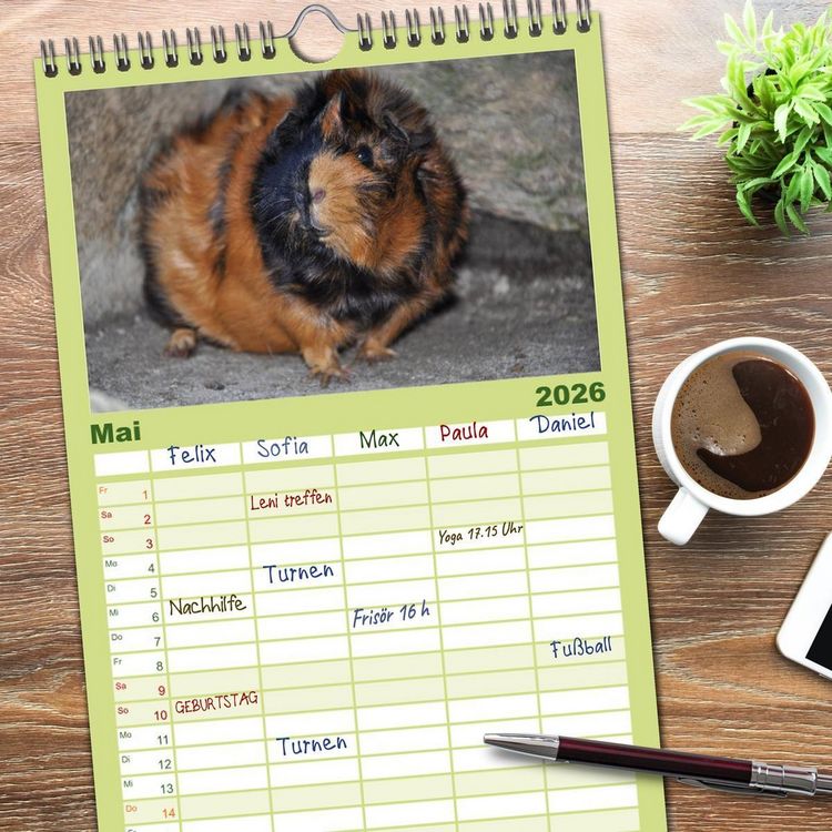 Produktbild: Familienplaner 2026 - Meerschweinchen Niedliche Herzensbrecher mit 5 Spalten (Wandkalender, 21 x 45 cm) CALVENDO