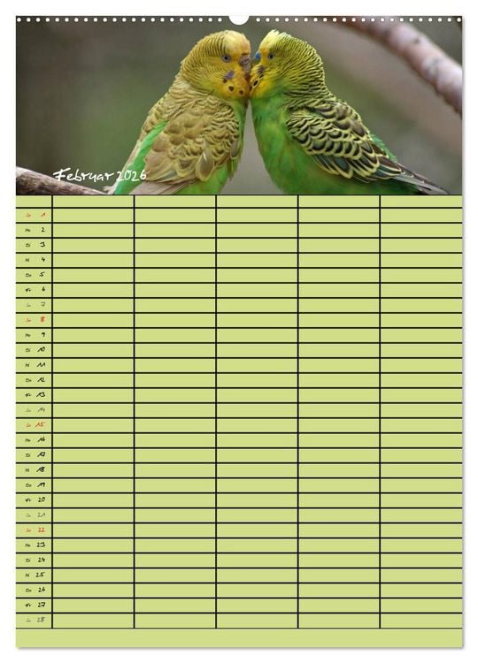 Produktbild: Der Wellensittich-Familienplaner (hochwertiger Premium Wandkalender 2026 DIN A2 hoch), Kunstdruck in Hochglanz