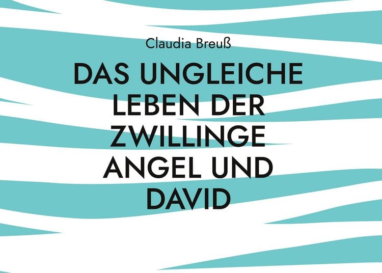 Produktbild: Das ungleiche Leben der Zwillinge Angel und David