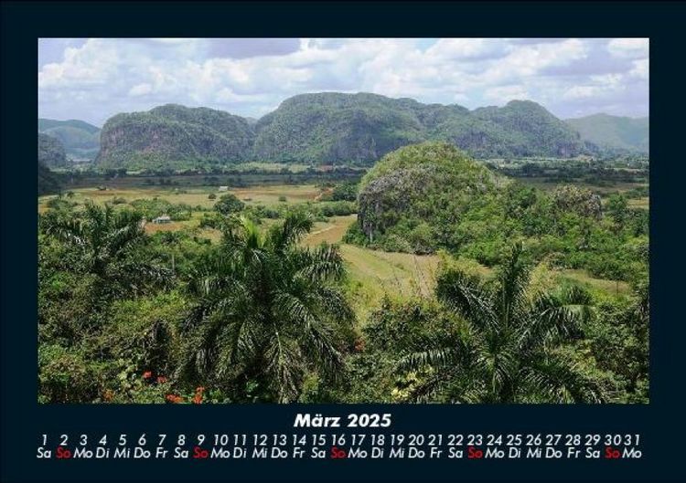 Produktbild: B&auml;ume 2025 Fotokalender DIN A5