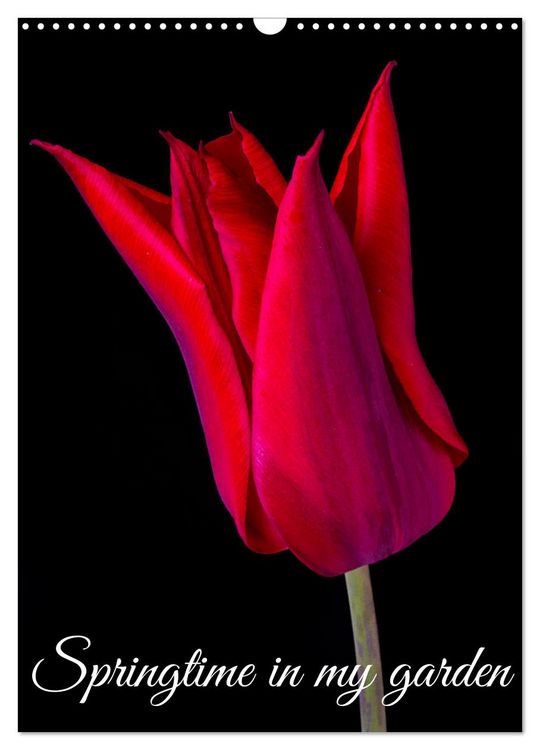 Produktbild: Springtime in my garden (Wall Calendar 2026 DIN A3 portrait), CALVENDO 12 Month Wall Calendar