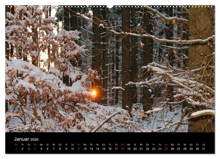Produktbild: Meine Heimat Westerwald (hochwertiger Premium Wandkalender 2026 DIN A2 quer), Kunstdruck in Hochglanz