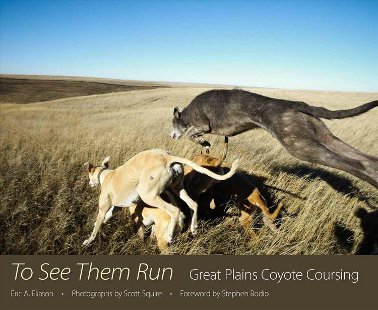 Produktbild: To See Them Run
