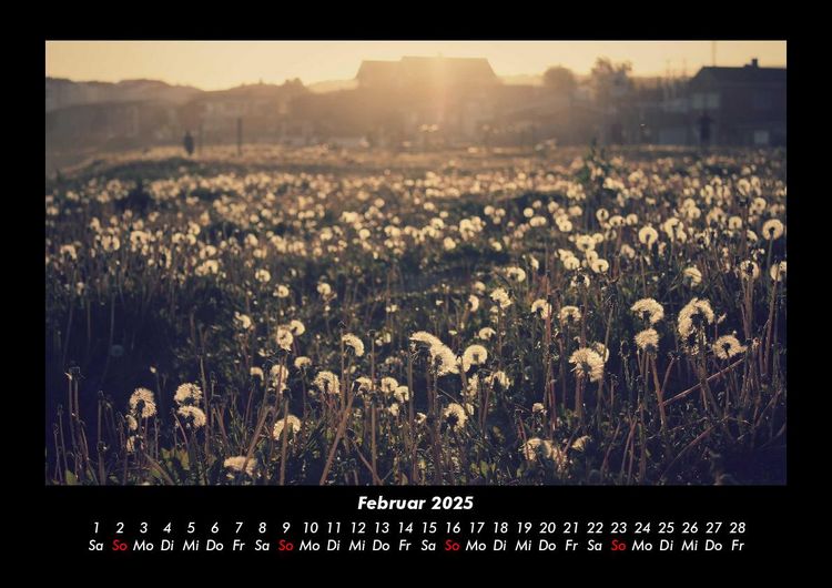 Produktbild: Blumenkalender 2025 Fotokalender DIN A3