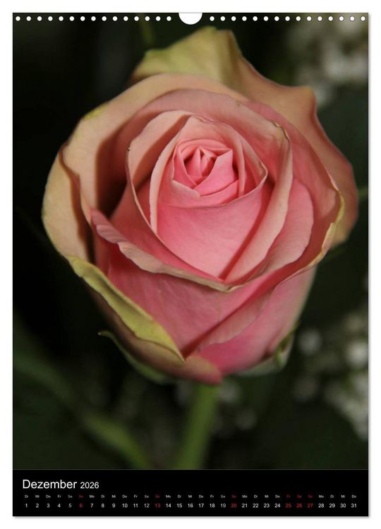 Produktbild: Zauberhafte Rosen (Wandkalender 2026 DIN A3 hoch), CALVENDO Monatskalender
