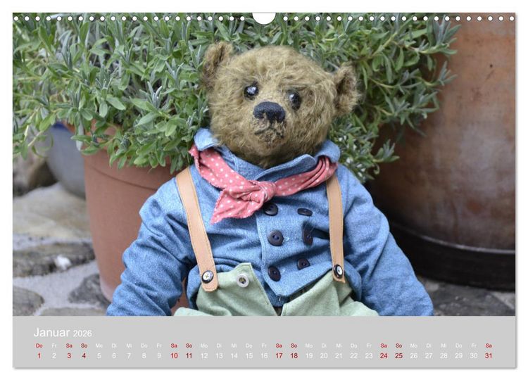 Produktbild: Robin der B&auml;r (Wandkalender 2026 DIN A3 quer), CALVENDO Monatskalender