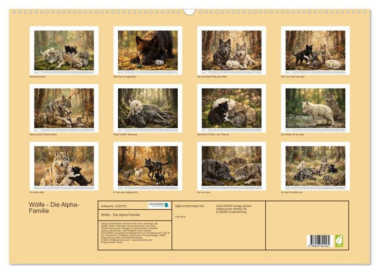 Produktbild: W&ouml;lfe - Die Alpha-Familie (Wandkalender 2027 DIN A2 quer), CALVENDO Monatskalender