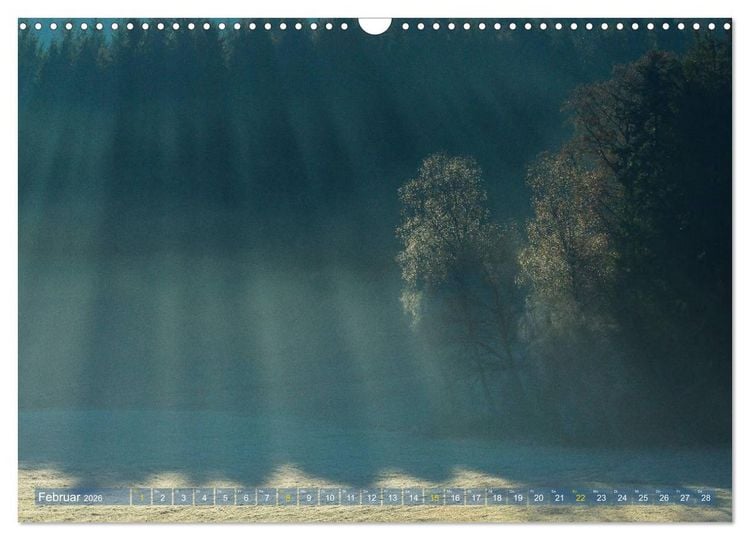 Produktbild: Spaziergang im Wald (Wandkalender 2026 DIN A3 quer), CALVENDO Monatskalender