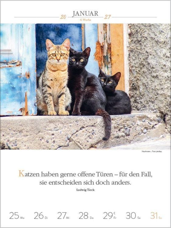 Produktbild: Literaturkalender Katzen 2027