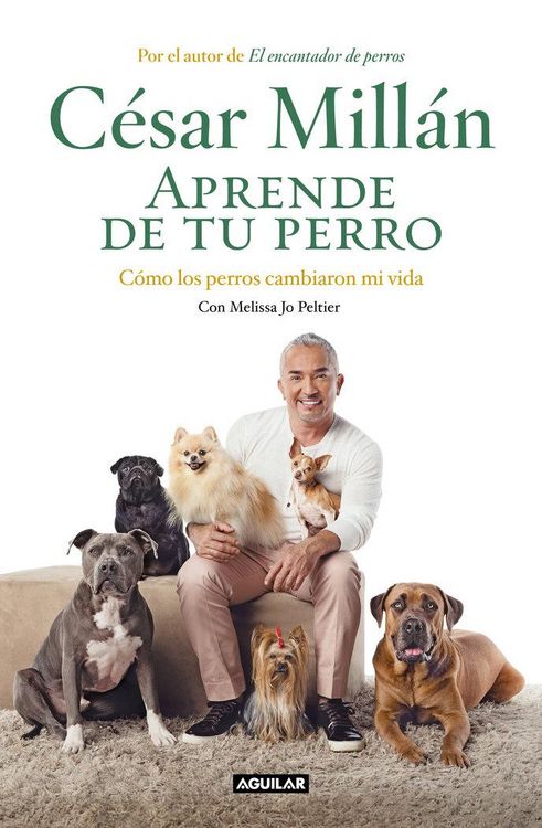 Produktbild: Aprende de tu perro : c&oacute;mo los perros cambiaron mi vida