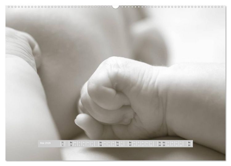 Produktbild: ...so winzig - Babykalender (Wandkalender 2026 DIN A2 quer), CALVENDO Monatskalender