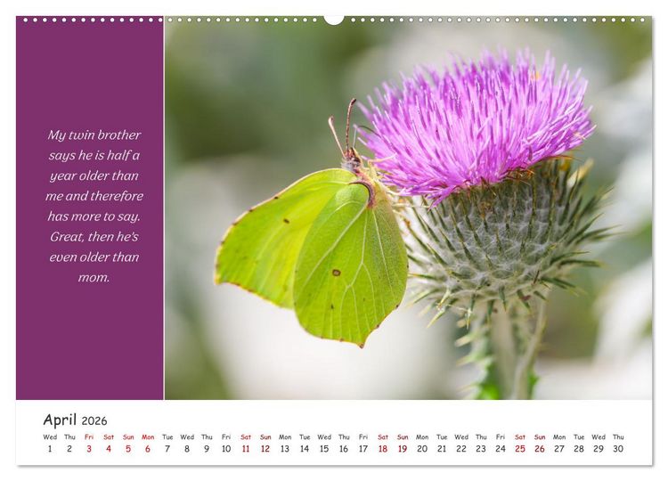 Produktbild: Animals like humour (High Quality Premium Wall Calendar 2026 DIN A2 landscape),CALVENDO 12 Month Wall Calendar