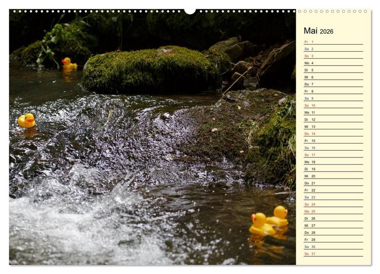 Produktbild: Enten-Rennen (Wandkalender 2026 DIN A2 quer), CALVENDO Monatskalender