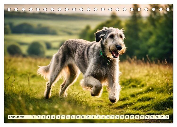 Produktbild: Giganten der Hundwelt (Tischkalender 2026 DIN A5 quer), CALVENDO Monatskalender