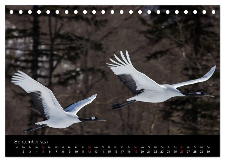 Produktbild: Mandschurenkraniche (Tischkalender 2027 DIN A5 quer), CALVENDO Monatskalender