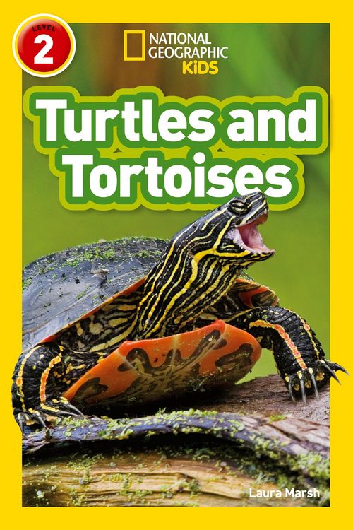 Produktbild: Turtles and Tortoises