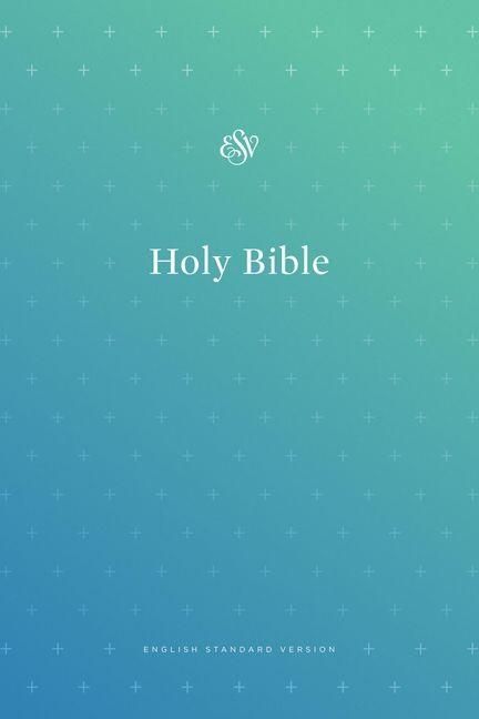 Produktbild: ESV Outreach Bible