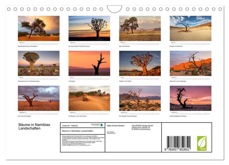 Produktbild: B&auml;ume in Namibias Landschaften (Wandkalender 2026 DIN A4 quer), CALVENDO Monatskalender