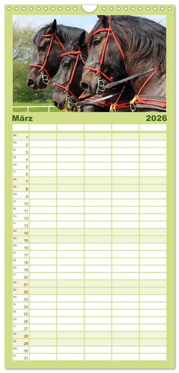 Produktbild: Familienplaner 2026 - Schwere Pferde mit 5 Spalten (Wandkalender, 21 x 45 cm) CALVENDO