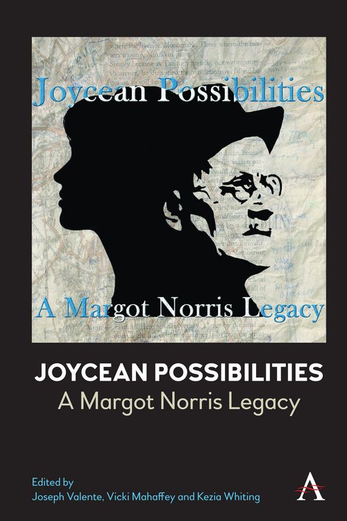 Produktbild: Joycean Possibilities: A Margot Norris Legacy