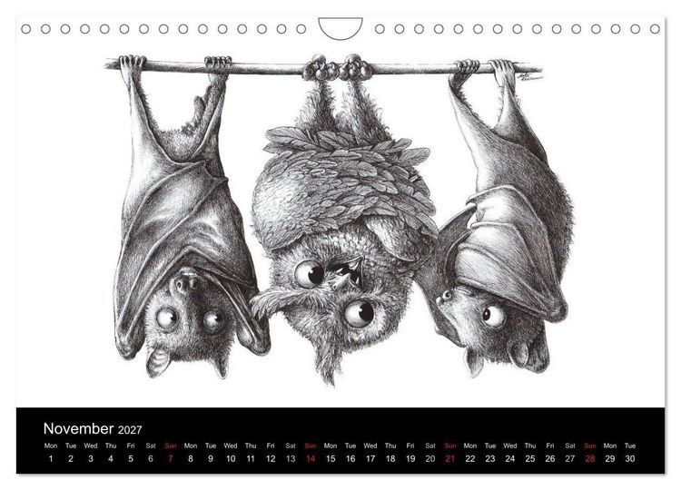 Produktbild: owls & friends 2027 (Wall Calendar 2027 DIN A4 landscape), CALVENDO 12 Month Wall Calendar