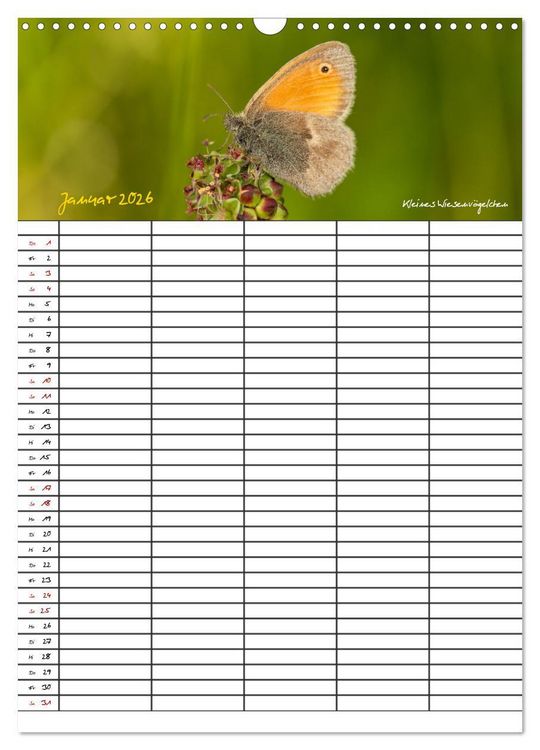 Produktbild: Schmetterlinge in Bayern (Wandkalender 2026 DIN A3 hoch), CALVENDO Monatskalender