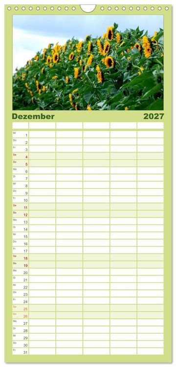 Produktbild: Familienplaner 2027 - Sonnenblumen mit 5 Spalten (Wandkalender, 21 x 45 cm) CALVENDO