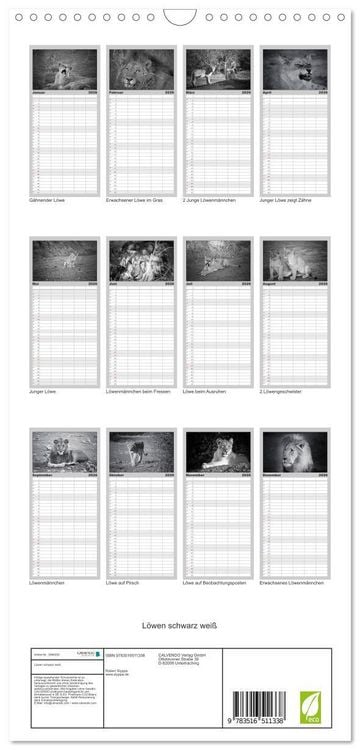 Produktbild: Familienplaner 2026 - L&ouml;wen schwarz wei&szlig; mit 5 Spalten (Wandkalender, 21 x 45 cm) CALVENDO